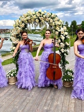 Violante orchestra на свадьбу 2