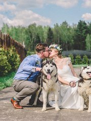 Фотоотчет со свадьбы Гая и Елены от Студия КиМ 1