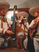 Mariachi Los Panchos на свадьбу 14