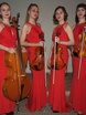 Струнный квартет Bellissimo music на свадьбу 4