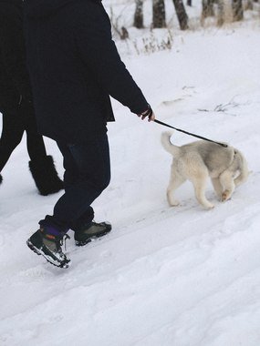 Фотоотчет Love Story Саши и Ксюши от Дмитрий Данилов 2