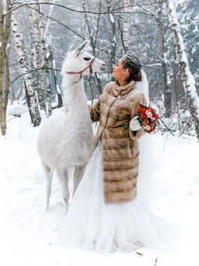 Фотоотчеты с разных свадеб 5 от Виктория Логинова 1