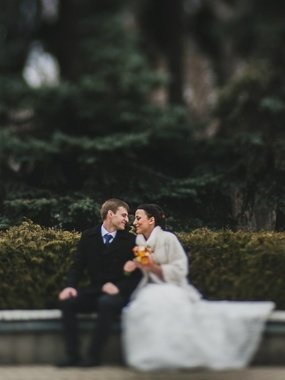 Фотоотчеты с разных свадеб от Евгений Земцов 1