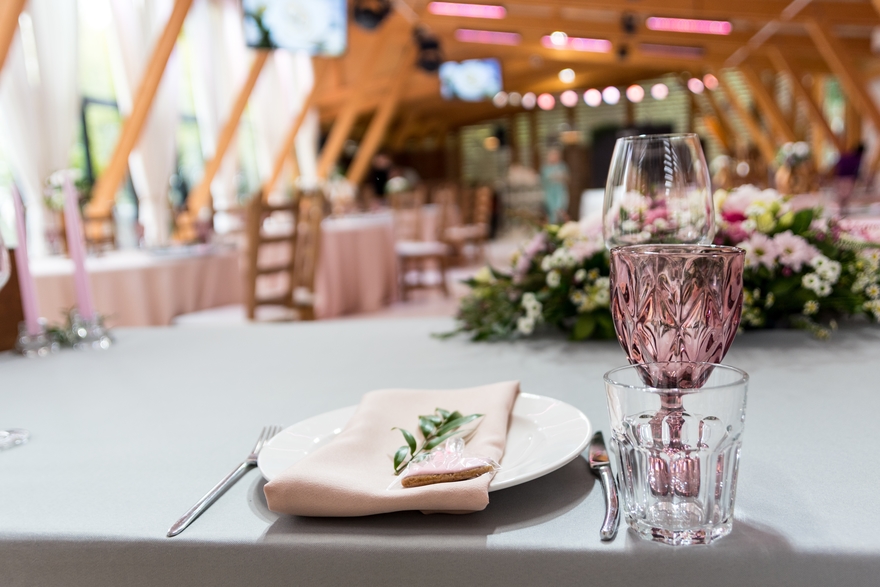 Свадьба Алины и Андрея от Свадебное агентство Праздничный переполох 18