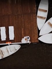 Видеоотчет со свадьбы Игоря и Анны от Денис Мазаев 1