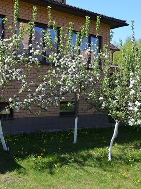 Коттедж Luxury Cottage в Москве 1