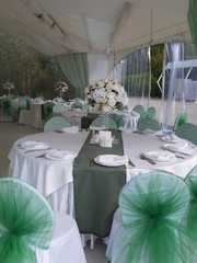 Столы и стулья гостей / Банкет в Шебби шик, Тематический, Тиффани от Творческая мастерская Decor-el 1