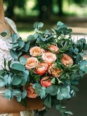 Монобукет из одного вида цветов, Раскидистый / Растрёпыш name от Студия Событий BuketPortret 1