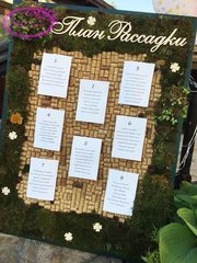 Рассадка в Эко от Твой день 1