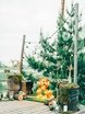 Рустик, Эко в Выездная регистрация, Природа от MWedding 3