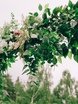 Рустик, Эко в Выездная регистрация, Природа от MWedding 4