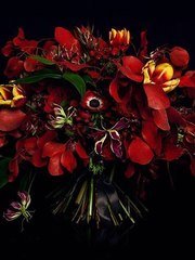 Раскидистый / Растрёпыш name от Студия декора и флористики Счастливые люди 1