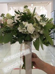 Раскидистый / Растрёпыш name от  1