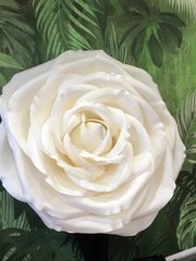 Фотозона в Эко от Свадебный декоратор Оксана Антоненко 1