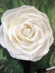 Фотозона в Эко от Свадебный декоратор Оксана Антоненко 2