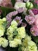 Раскидистый / Растрёпыш name от Свадебный декоратор Оксана Антоненко 1