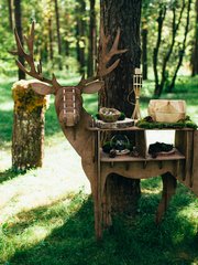 Отчет со свадьбы Екатерины и Федора  2