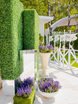 Шатер White Park New Riga Bay в Москве 5