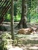 Активности Ресторан Гвардеец 4
