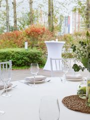 Шатер Шатры в парке Рублево в Москве 2