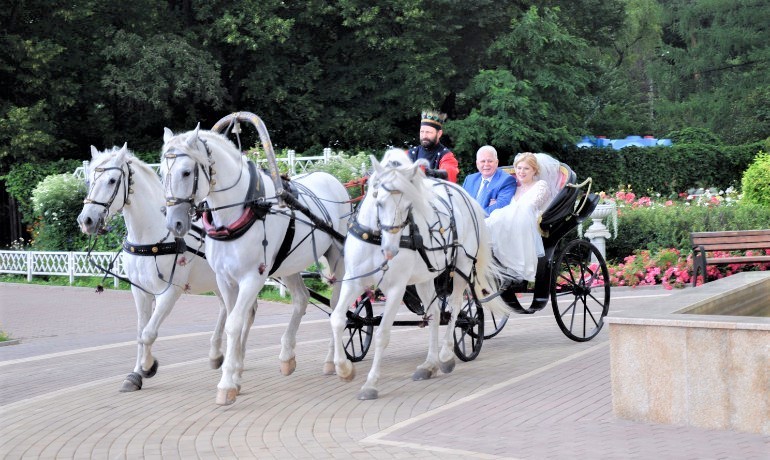 Свадьбы в Розарии Розарий 4