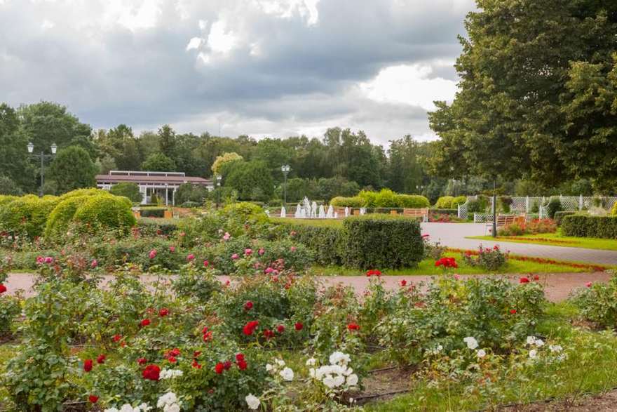 Территория Розарий 3