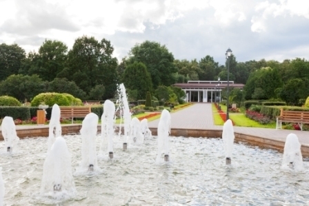 Территория Розарий 6