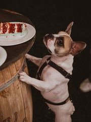 Свадьбы на Ранчо I Загородная свадебная площадка Ранчо 2