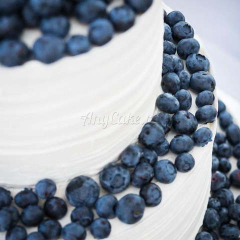 оттенки Белого Кенди бар в стиле рустик от Кондитерская AnyCake 4