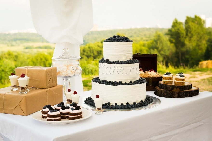 оттенки Белого Кенди бар в стиле рустик от Кондитерская AnyCake 13