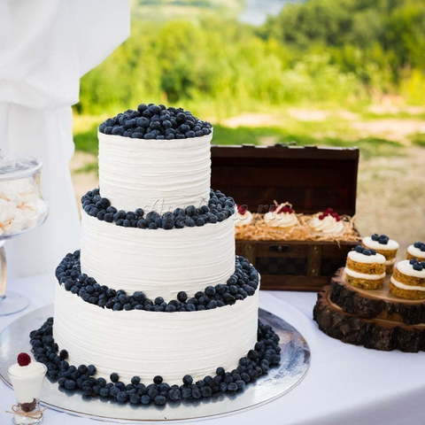 оттенки Белого Кенди бар в стиле рустик от Кондитерская AnyCake 14