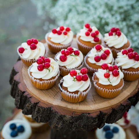 оттенки Белого Кенди бар в стиле рустик от Кондитерская AnyCake 16