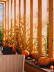 Осенняя в Ресторан / Банкетный зал, На веранде от Студия свадебного декора Мармелад 8