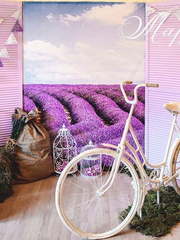 Прованс в Шатер от Студия свадебного декора Мармелад 2