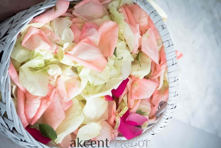 Тематический, Тиффани в Выездная регистрация, Шатер от Студия декора Akcent Decor 10