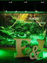 Классика, Эко в Ресторан / Банкетный зал от Студия декора и флористики Decormate 2