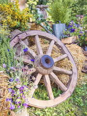 Тематический в Природа от Студия декора ColorEvent 2