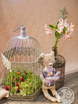 Шебби шик в Ресторан / Банкетный зал, Природа от Студия декора и флористики Цветочных Дел МАСТЕР 13