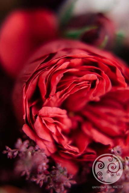 Бохо в Лофт от Студия декора и флористики Цветочных Дел МАСТЕР 11