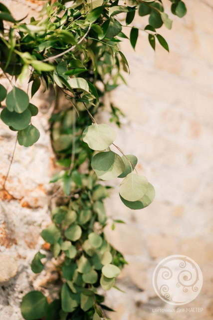 Бохо в Лофт от Студия декора и флористики Цветочных Дел МАСТЕР 27