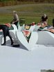 Весенняя / Летняя, Классика в Выездная регистрация, Шатер, Природа от Декор агентство New Look 6