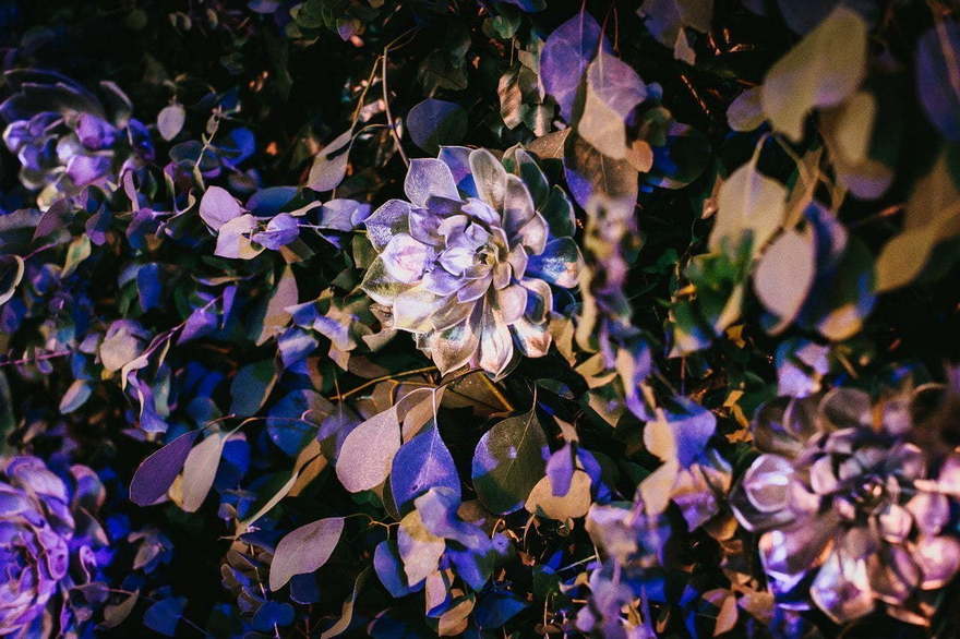 Эко, Винтаж / Ретро в Лофт, Ресторан / Банкетный зал от Студия флористики и декора Floral Studio 7