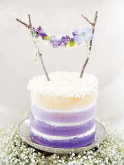 Голый торт Одноярусные 1 от Кондитерская MorkovMorkov