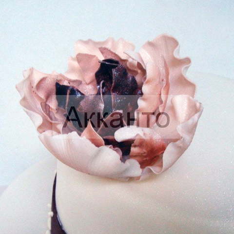 Мастика Двухъярусные 2 от Кондитерская Акканто