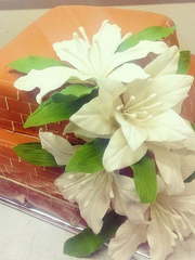 Мастика Двухъярусные 1 от Кондитерская Олега Ильина