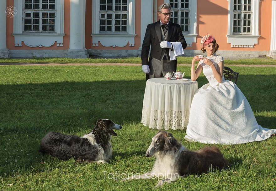Свадебное платье Adetta. Силуэт А-силуэт, Прямое. Цвет Белый / Молочный. Вид 3