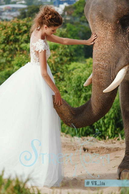 Свадебное платье Лилио. Силуэт Пышное, А-силуэт. Цвет Белый / Молочный. Вид 2