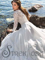 Свадебное платье Фостайн. Силуэт А-силуэт. Цвет Белый / Молочный. Вид 2