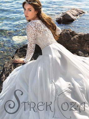 Свадебное платье Фостайн. Силуэт А-силуэт. Цвет Белый / Молочный. Вид 2