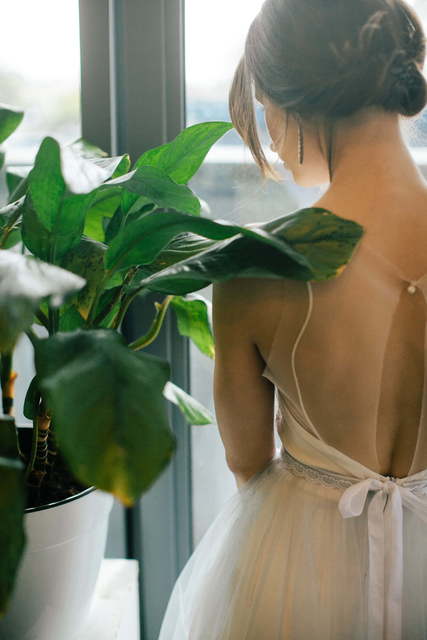 Свадебное платье Rosa. Силуэт А-силуэт. Цвет Айвори / Капучино, Белый / Молочный. Вид 2